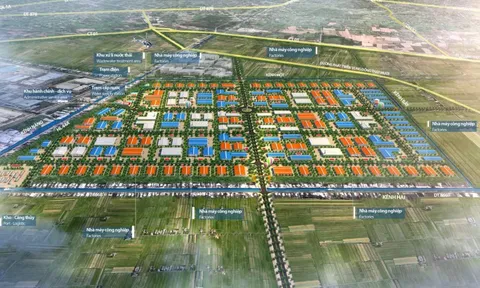Đầu tư xây dựng kết cấu hạ tầng khu công nghiệp Tân Phước 1, Tiền Giang