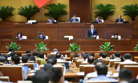 Các doanh nghiệp FDI đến Việt Nam đều đạt tiêu chuẩn chất lượng và môi trường