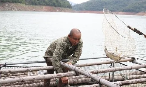 Lão nông bỏ ruộng xuống nước, kiếm trăm triệu/năm nuôi con ăn học