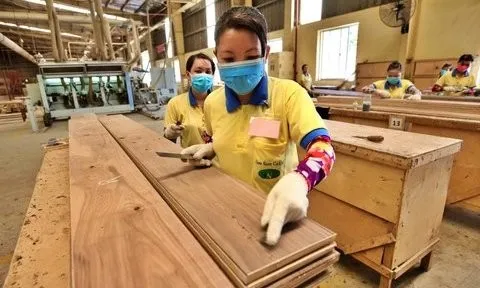 Xuất khẩu gỗ tăng trưởng mạnh, tập trung thị trường trọng điểm
