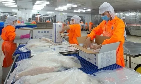 Thủy sản Nam Việt: Đầu tư thua lỗ và bài toán lấy lại vị thế