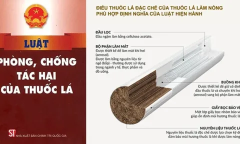 Thuốc lá mới: Cần làm rõ về tác hại của các sản phẩm dựa trên căn cứ khoa học