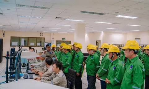 Đoàn khách hàng tiêu biểu tham quan Nhà máy Đạm Phú Mỹ: Tri ân và gắn kết
