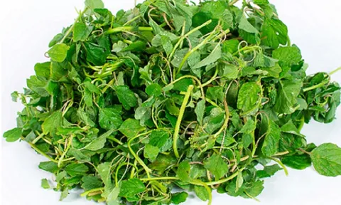 Ăn 1 mớ rau này tốt ngang thịt, xưa cho lợn ăn nay lên tầm đặc sản "hái ra tiền"