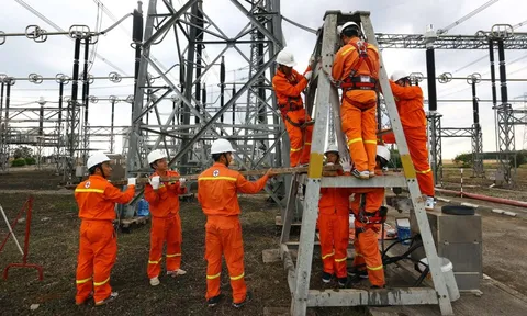 PTC3 nỗ lực thực hiện 'nhiệm vụ kép'