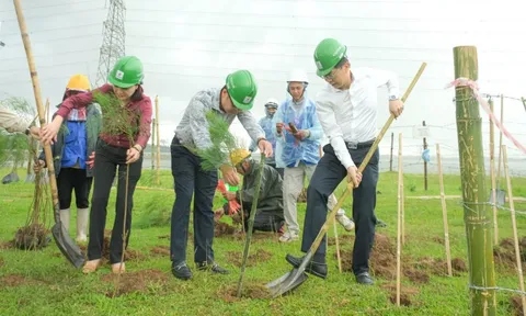 Petrovietnam: Trồng cây xanh là giải pháp quan trọng trong chuyển dịch năng lượng