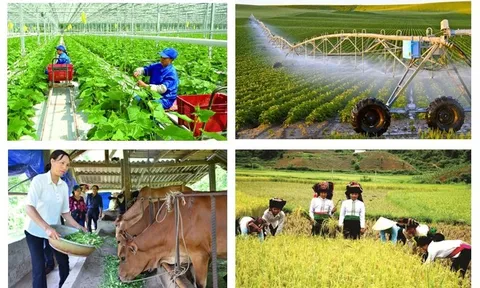 Tổng điều tra nông thôn, nông nghiệp năm 2025 vào ngày 1/7/2025