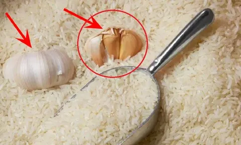 Vùi một củ tỏi vào thùng gạo, hiệu quả bất ngờ hàng xóm còn tấm tắc khen