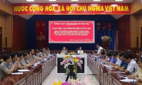 Đồng Nai: Khó khăn, vướng mắc trong thi hành án liên quan Công ty Alibaba