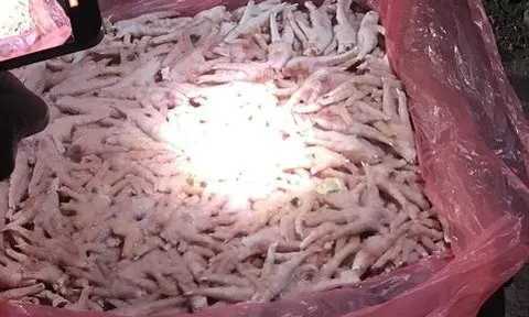 Quảng Ninh: Phát hiện 25 tấn chân gà đông lạnh không rõ nguồn gốc