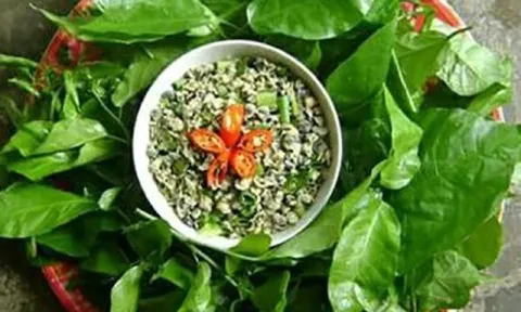 Ăn 1 mớ rau này tốt ngang thịt, mọc đầy bờ rào, ai không biết hơi phí