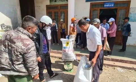 Đắk Lắk phân bổ hơn 155 tấn gạo cứu đói cho nhân dân dịp giáp hạt