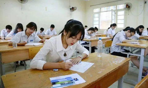 Oái oăm chuyện thi