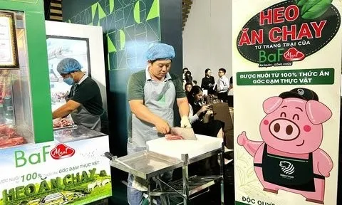 Siba Holdings đổ thêm tiền đầu tư vào BAF