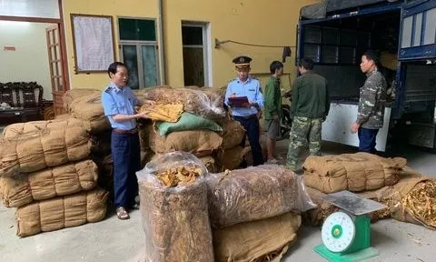 Lạng Sơn: Phát hiện gần 15 tấn thuốc lá nghi nhập lậu