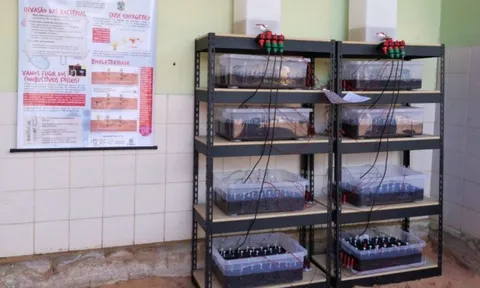 Thú vị pin tạo ra điện năng từ vi sinh vật trong đất
