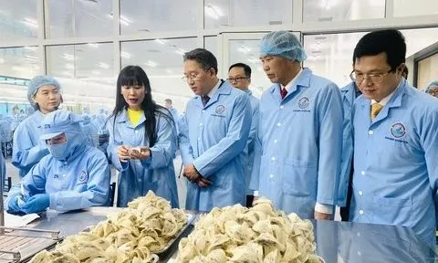 Yến sào Khánh Hòa trả cổ tức cao nhất lịch sử kinh doanh