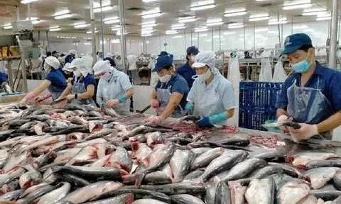 Xuất khẩu thủy sản dự báo thu về 4,4 tỷ USD trong 2 quý đầu năm