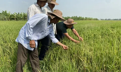 Nông sản Việt với sức bật của tư duy đa giá trị, đa ngành