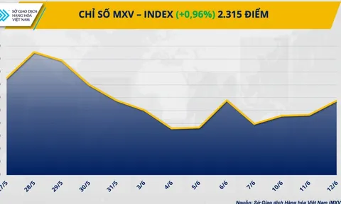 Chỉ số MXV-Index dứt chuỗi giằng co