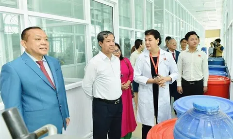 Trường công hay tư đều đóng góp vào phát triển giáo dục đại học