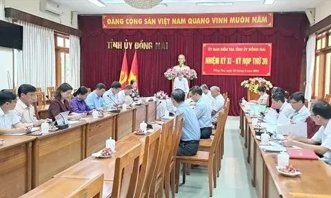 Đồng Nai: Lý do nữ Chủ tịch huyện Nhơn Trạch bị xem xét đề nghị kỷ luật
