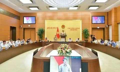 Chuyển mục đích sử dụng đất rừng, đất trồng lúa làm cao tốc Bắc-Nam