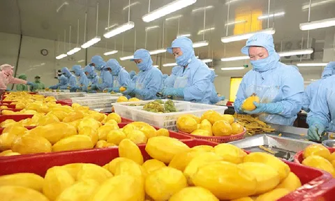 Nhập khẩu thực phẩm vào EU: tuân thủ quy định, bám sát yêu cầu thị trường