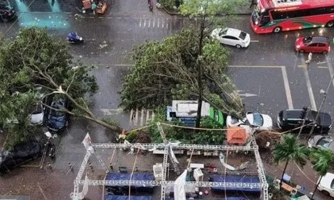 Hà Nội: Nhiều cây xanh bật gốc đổ, đè trúng hàng loạt ô tô