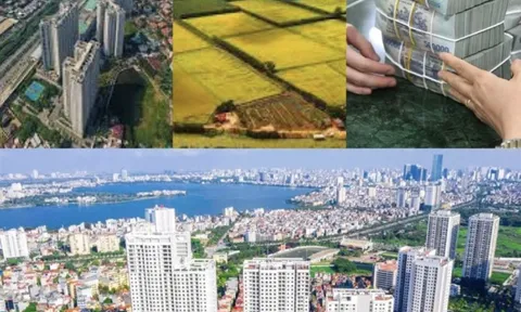 Trình Quốc hội cho phép thi hành sớm Luật Đất đai và 3 luật khác từ 1/8/2024