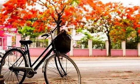 Ai chở mùa hè của em đi đâu?