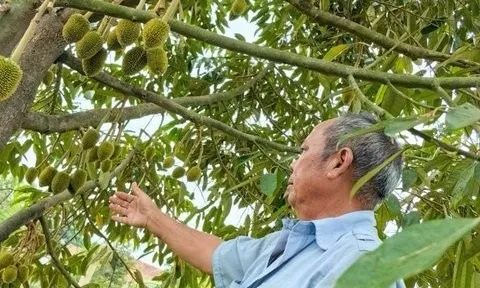 Kon Tum: Nhiều mô hình sinh kế giúp người dân xã biên giới thoát nghèo