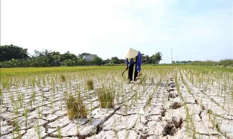 Chung tay chống sa mạc hóa và hạn hán