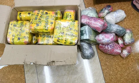 Một đối tượng truy nã đặc biệt bị bắt trong vụ án “Oanh Hà“