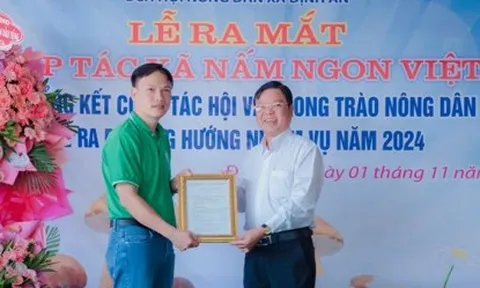 Gặp gỡ anh nông dân: Nguyễn Văn Minh Ý và câu chuyện khởi nghiệp đầy lý thú trong lĩnh vực nấm