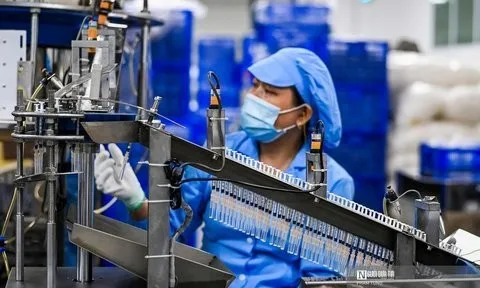 5 cơ hội và 3 kịch bản tăng trưởng kinh tế Việt Nam năm 2024