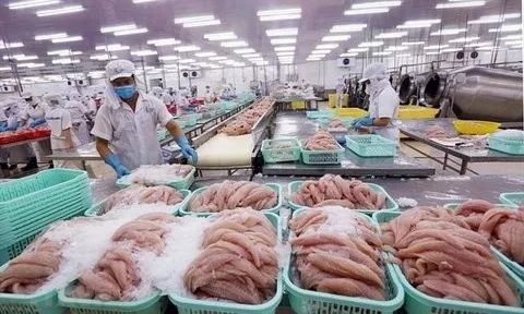 Phê duyệt đề án nâng cao hiệu quả thực thi kiểm dịch động, thực vật