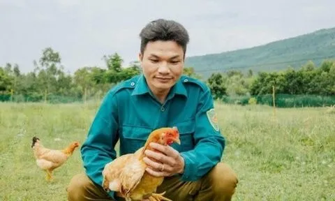 Loại gà nặng chỉ hơn 1kg có gì đặc biệt mà giá bán tới 600.000 đồng/con?