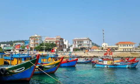 Quảng Ngãi kiên quyết xử phạt tàu cá vi phạm khai thác IUU, không có ngoại lệ