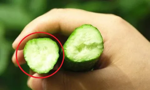 5 cách nhật biết dưa chuột "ngậm" thuốc sâu, cái số 2 nhiều người áp dụng