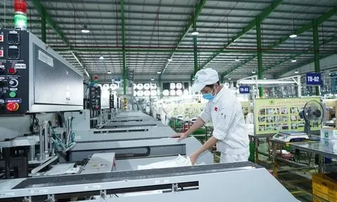 Những nốt trầm bổng trong 7 năm kinh doanh của An Phát Holdings