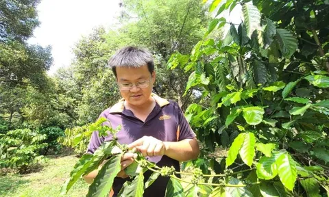 Xuất ngoại học làm… nông dân, thu tiền tỷ mỗi năm