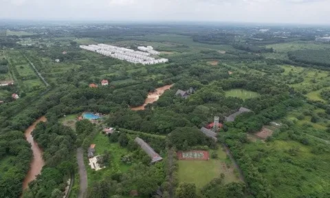 Đồng Nai: Bán đất nền dự án chưa được cấp phép, một công ty bị khởi tố