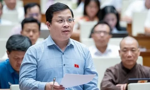 ĐBQH: Cân nhắc khi đưa phân bón thành mặt hàng chịu thuế VAT 5%