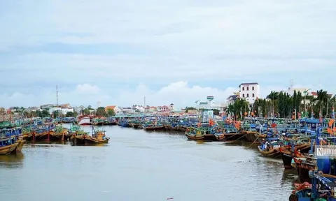 Bình Thuận: Tích cực tìm kiếm thuyền trưởng một tàu cá rơi xuống biển