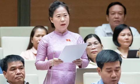 Đại biểu Quốc hội kiến nghị phân bón thuộc đối tượng chịu thuế VAT 0%