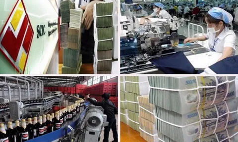 Dự thảo Luật Quản lý và đầu tư vốn nhà nước tại doanh nghiệp