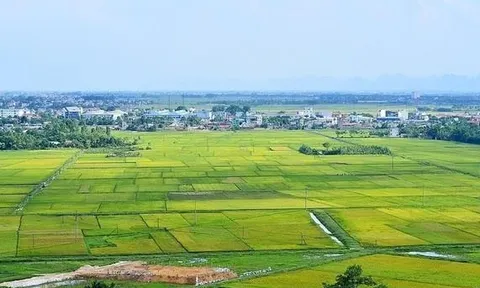 Khẩn trương hoàn thiện 4 dự thảo Nghị định liên quan đến đất đai