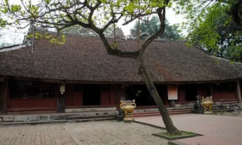Quy hoạch bảo quản, phục hồi Di tích Đình Thổ Tang