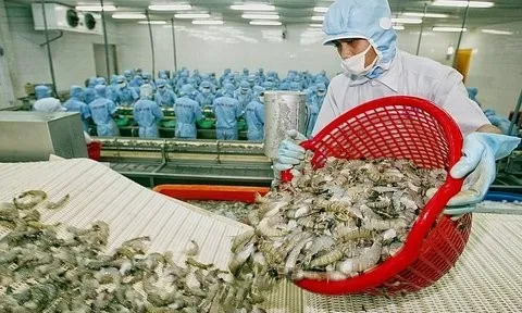 Xuất khẩu thủy sản hướng tới mục tiêu 10 tỷ USD
